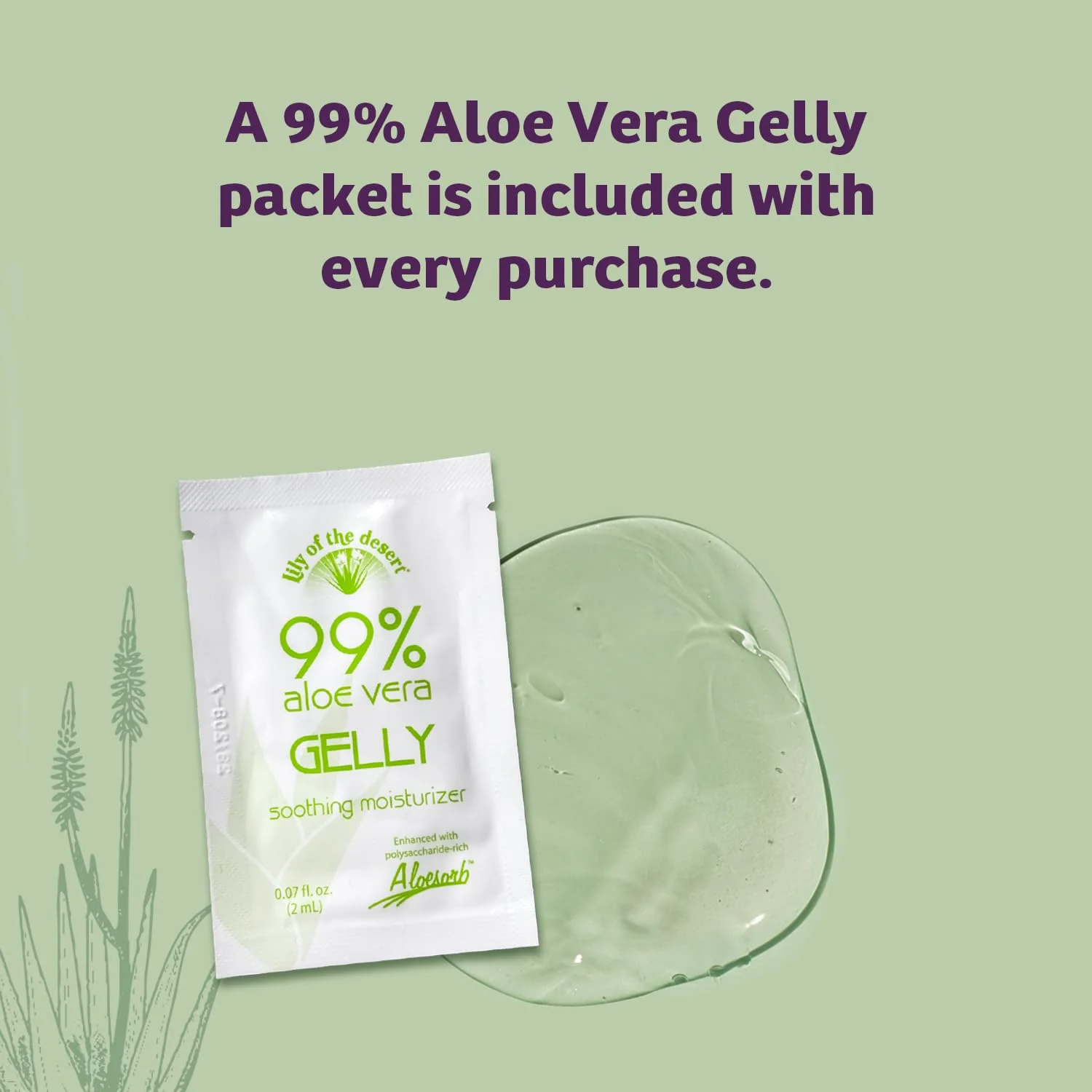 Lily Of The Desert - Aloe Herbal Stomach Formula (946ml) - Image 7