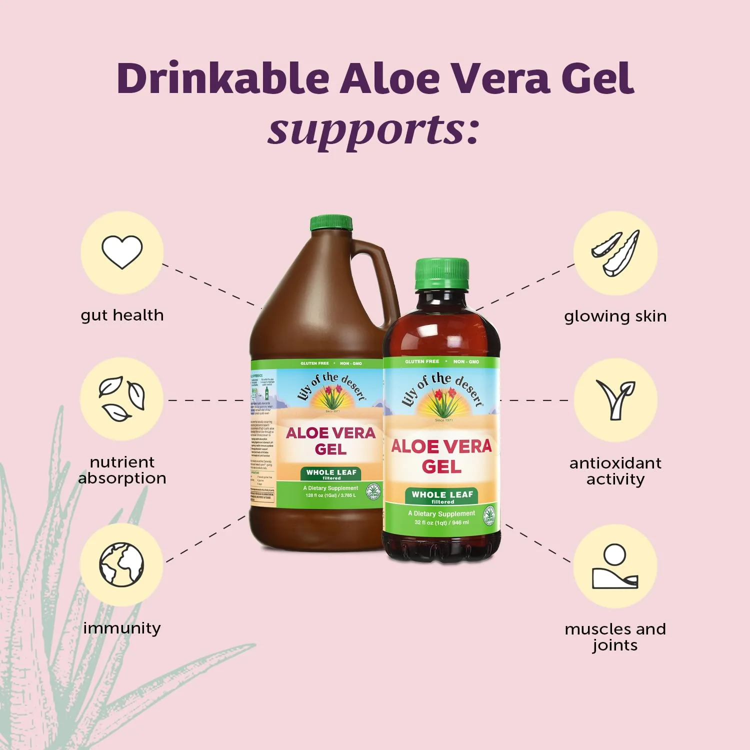 Lily Of The Desert - Aloe Vera Juice - Plastic (3.8L) - Image 9